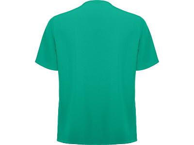 Рубашка Ferox, мужская