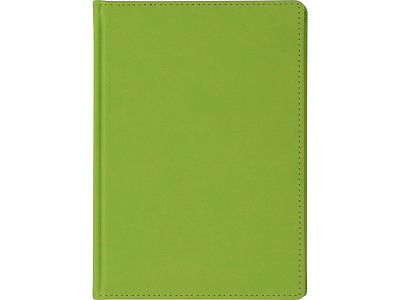 Ежедневник недатированный А5 Velvet