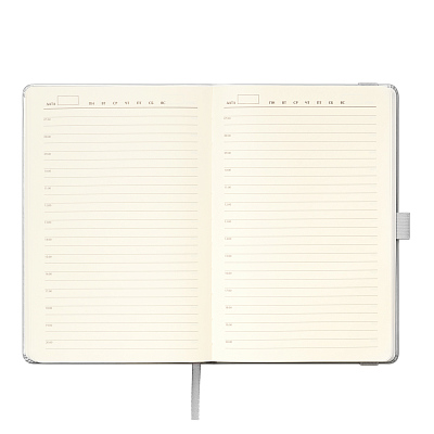 Ежедневник Альфа (Alpha) недатированный, серебро/серый