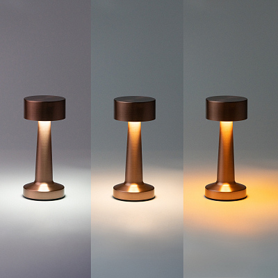 Настольная лампа REIKI cо встроенной батареей, розовое золото