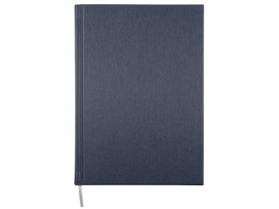 Ежедневник недатированный А5 Probe AR