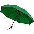 Зонт складной Monsoon, зеленый - Фото 2