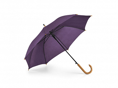 Зонт с автоматическим открытием PATTI (Пурпурный)