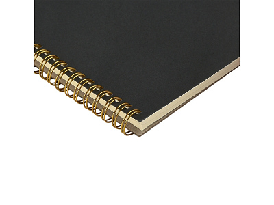 Бизнес тетрадь А5 Pragmatic