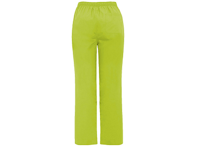 Брюки Vademecum, унисекс