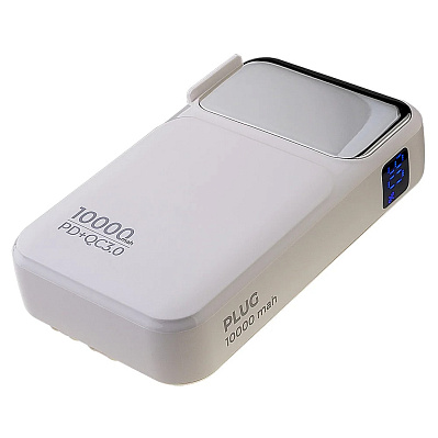 ПЗУ с функцией СЗУ Perfeo PLUG 10000 черный