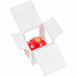 Елочный шар Gala Night в коробке, красный, 6 см - Фото 6
