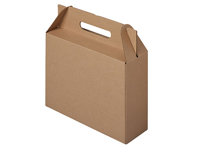 Коробка подарочная Тоут, M (Бурый)