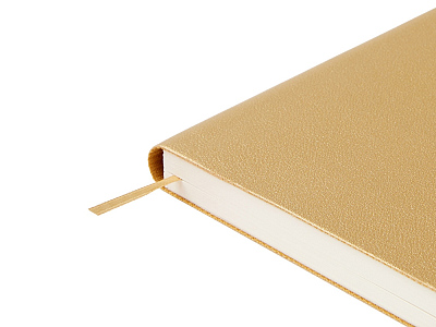 Ежедневник недатированный А5 Grand