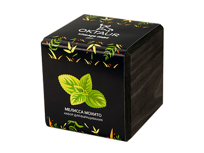 Набор для выращивания Small village cube Мелиса Мохито (Чёрный)