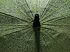 Зонт-антишторм Impact из RPET AWARE™, d130 см  - Фото 3