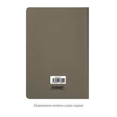 Ежедневник Спарк (Spark) недатированный, серый (без упаковки, без стикера)
