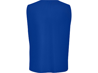 Манишка спортивная Roma, унисекс