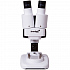 Бинокулярный микроскоп 1ST - Фото 1