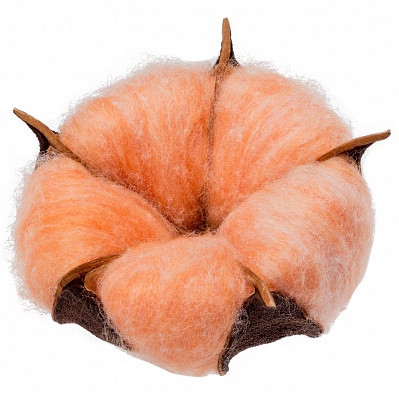 Цветок хлопка Cotton  (Оранжевый)