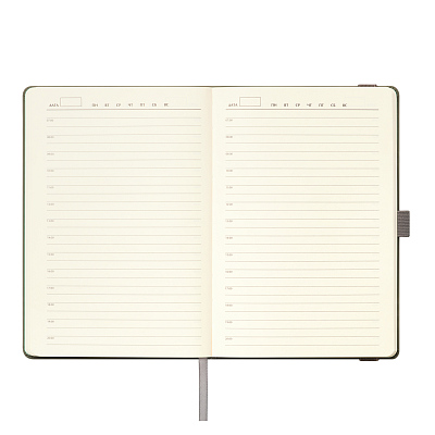 Ежедневник Alpha недатированный, серый/бирюзовый