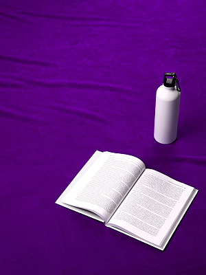 Дорожный плед Voyager 2, фиолетовый