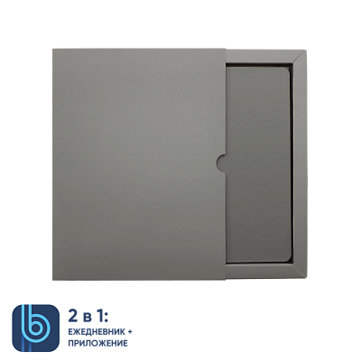 Ежедневник Bplanner.01 в подарочной коробке (серый)
