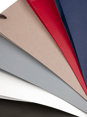 Пакет под бутылку Vindemia, синий