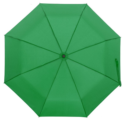 Зонт складной Monsoon  (Ярко-зеленый)