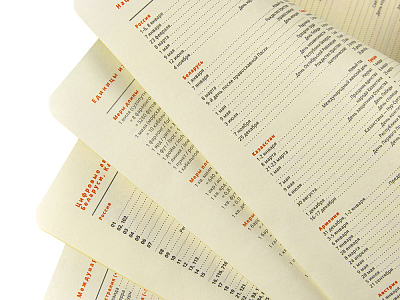 Ежедневник недатированный А5 Boston