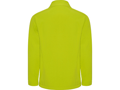 Куртка софтшелл Nebraska мужская