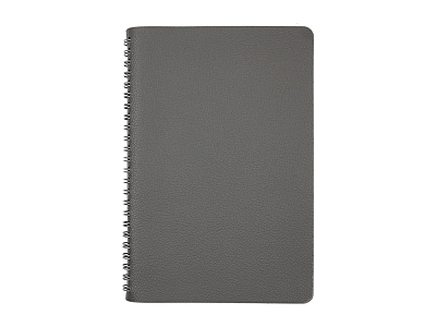 Ежедневник недатированный А5 Alba