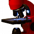 Монокулярный микроскоп Rainbow 50L с набором для опытов, красный - Фото 6