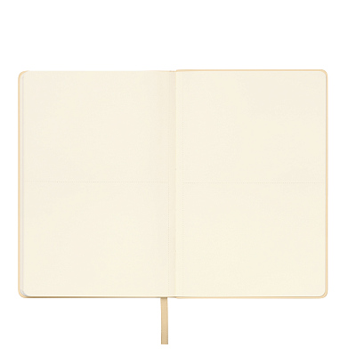 Ежедневник Спарк (Spark) недатированный, белое золото (с упаковкой, со стикерами)