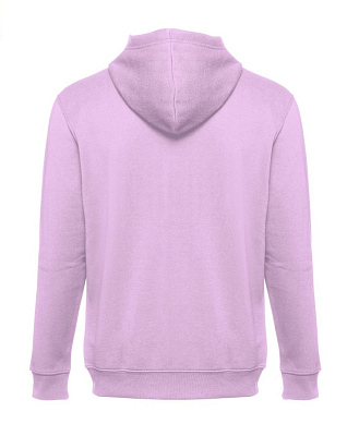 Толстовка мужская с капюшоном на молнии AMSTERDAM 320