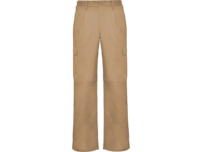 Брюки Daily, мужские (Верблюжий)