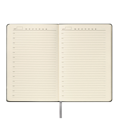 Ежедневник Теоло (Teolo) недатированный, серый