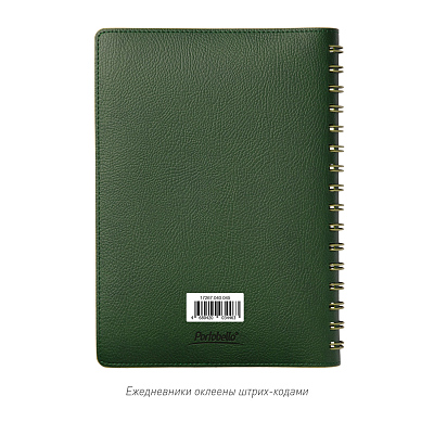 Ежедневник Vista недатированный, зеленый/салатовый