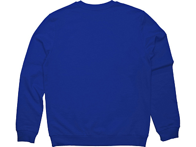 Свитшот Motion с начесом, унисекс