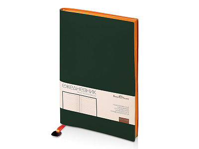 Ежедневник недатированный А5 Mercury