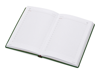 Ежедневник недатированный А5 Velvet