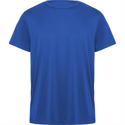 Спортивная футболка DAYTONA унисекс, КОРОЛЕВСКИЙ СИНИЙ XL (Королевский синий)