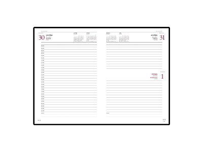 Ежедневник датированный А5 Ideal New на 2026 год