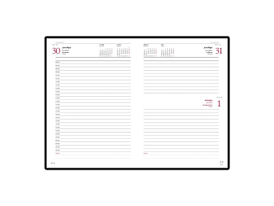 Ежедневник А5 датированный Velvet на 2020 год