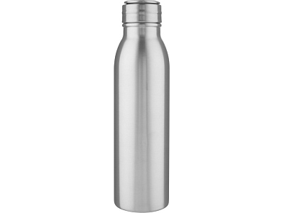 Бутылка для воды с металлической петлей Harper, 700 мл