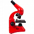 Монокулярный микроскоп Rainbow 50L с набором для опытов, красный - Фото 3