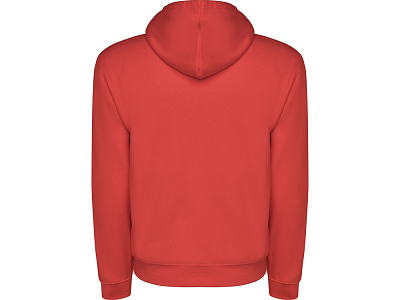 Толстовка с капюшоном Capucha мужская