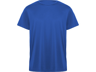 Спортивная футболка Daytona мужская (Королевский синий)