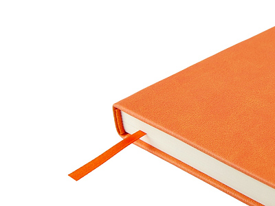 Ежедневник недатированный А5 Status