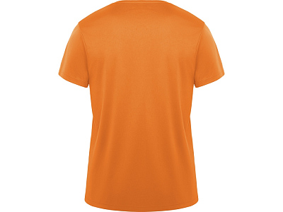 Спортивная футболка Daytona мужская