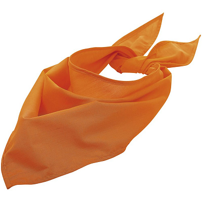 Шейный платок Bandana  (Оранжевый)