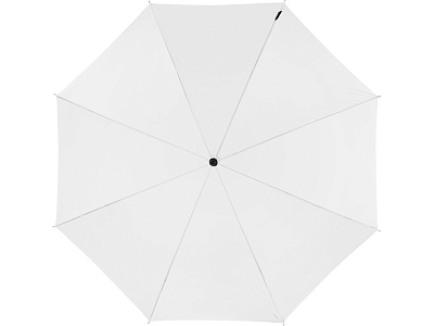 Зонт-трость Arch