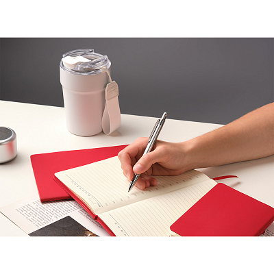 Шариковая ручка Леви (Levi), серая