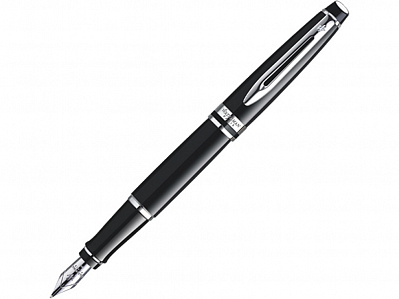 Ручка перьевая Expert (Черный/серебристый)