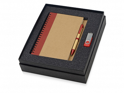 Подарочный набор Essentials с флешкой и блокнотом А5 с ручкой (Красный/натуральный/серебристый)